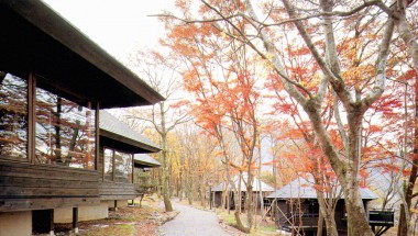 神奈川県立芦ノ湖キャンプ村